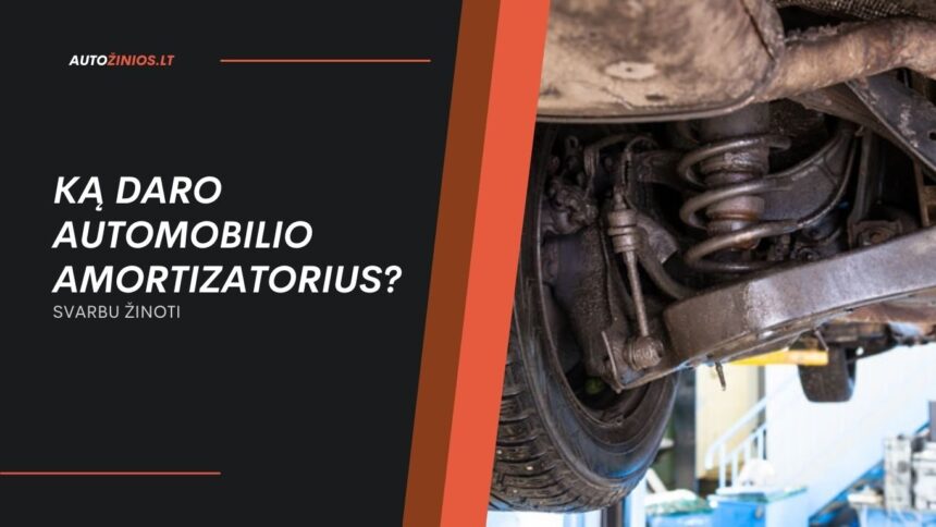 Ką Daro Automobilio Amortizatorius