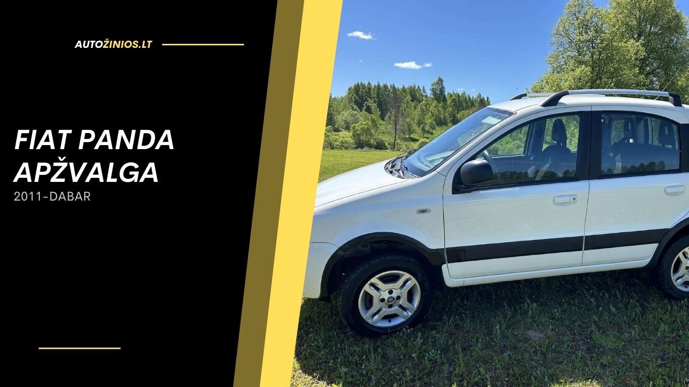 Fiat panda Apžvalga 2