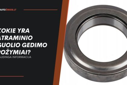 Kokie yra atraminio guolio gedimo požymiai