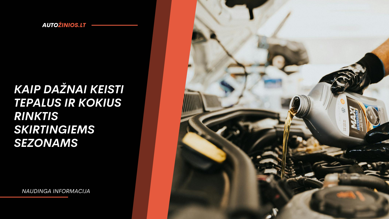 Kaip dažnai keisti tepalus ir kokius rinktis skirtingiems sezonams