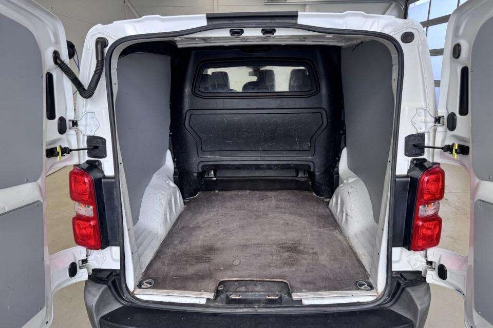 Dažniausios problemos ir ligos