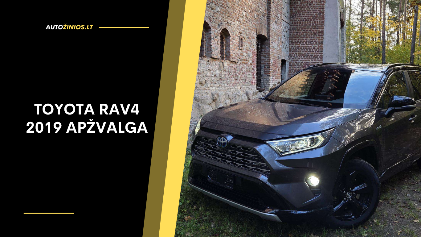 Toyota RAV4 2019 Apžvalga