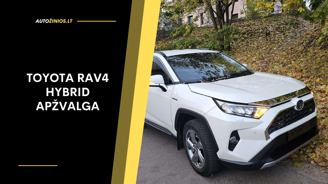 Toyota RAV4 Hybrid Apžvalga