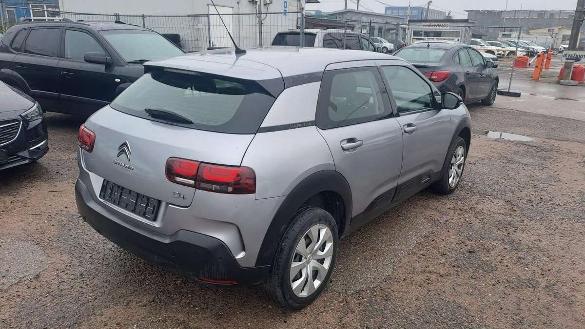 Dažniausios problemos (ligos)