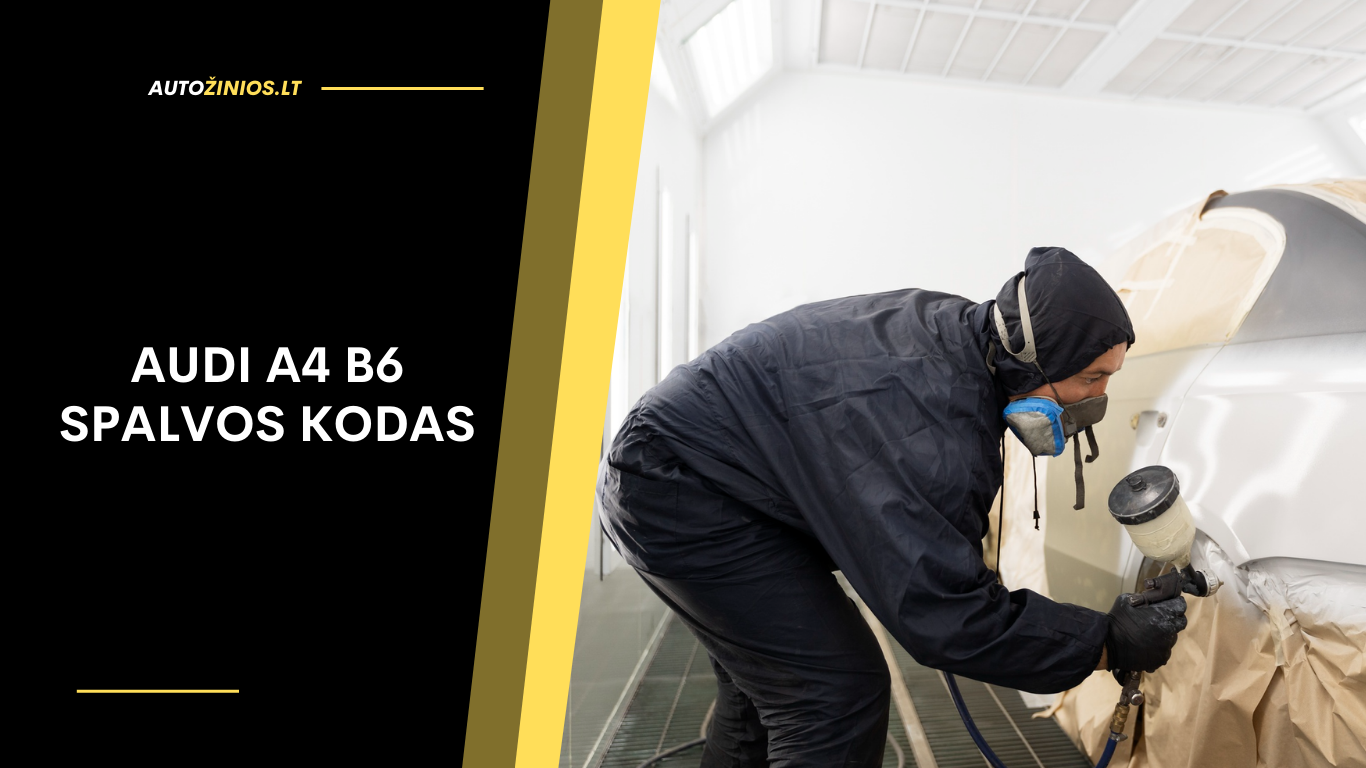 Audi A4 B6 spalvos kodas