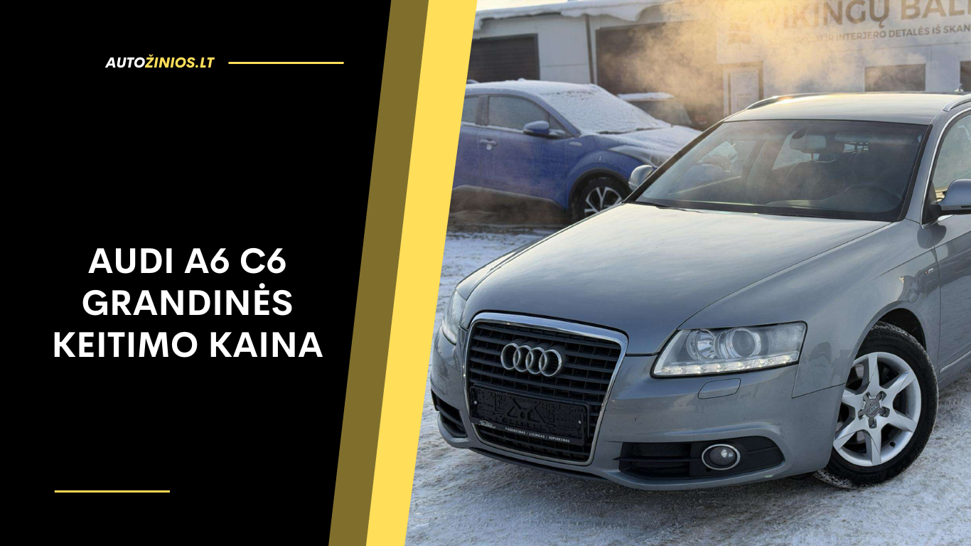 Audi A6 C6 Grandinės Keitimo Kaina