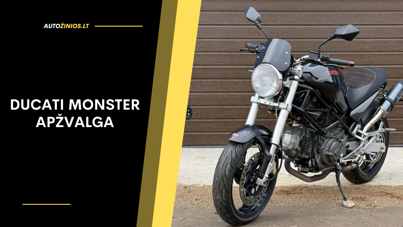Ducati Monster Apžvalga