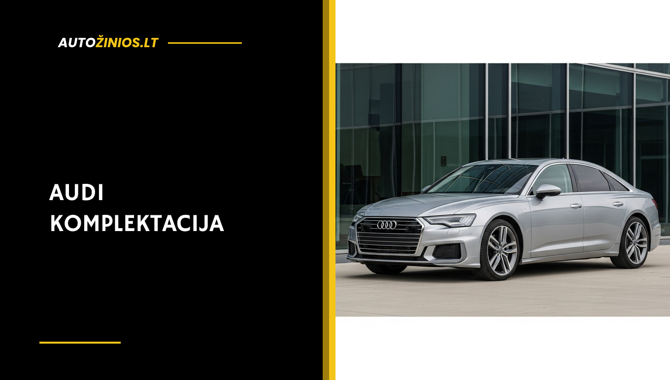 Iliustracija: Audi komplektacija pagal VIN kodą: kaip sužinoti