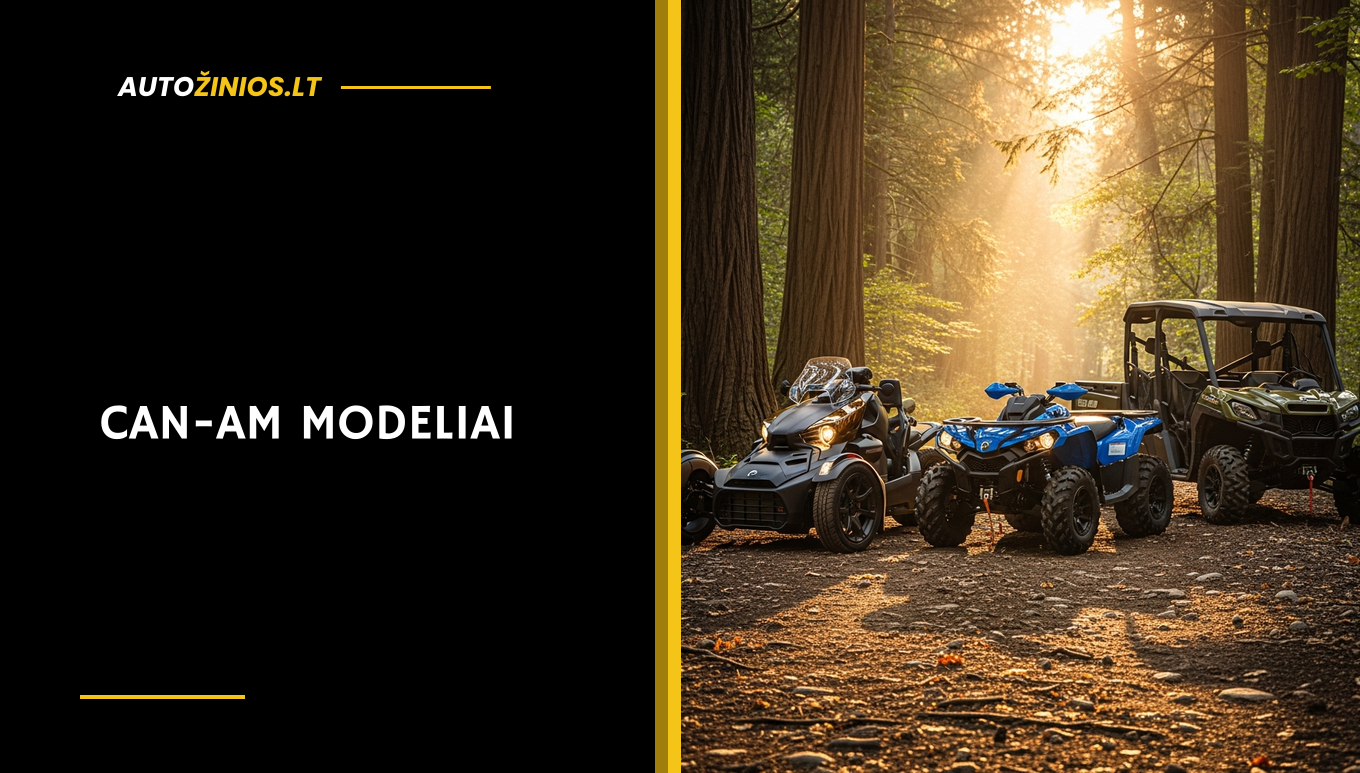 Iliustracija: Can-Am apžvalga: Renegade, bagiai, Ryker ir Traxter modeliai