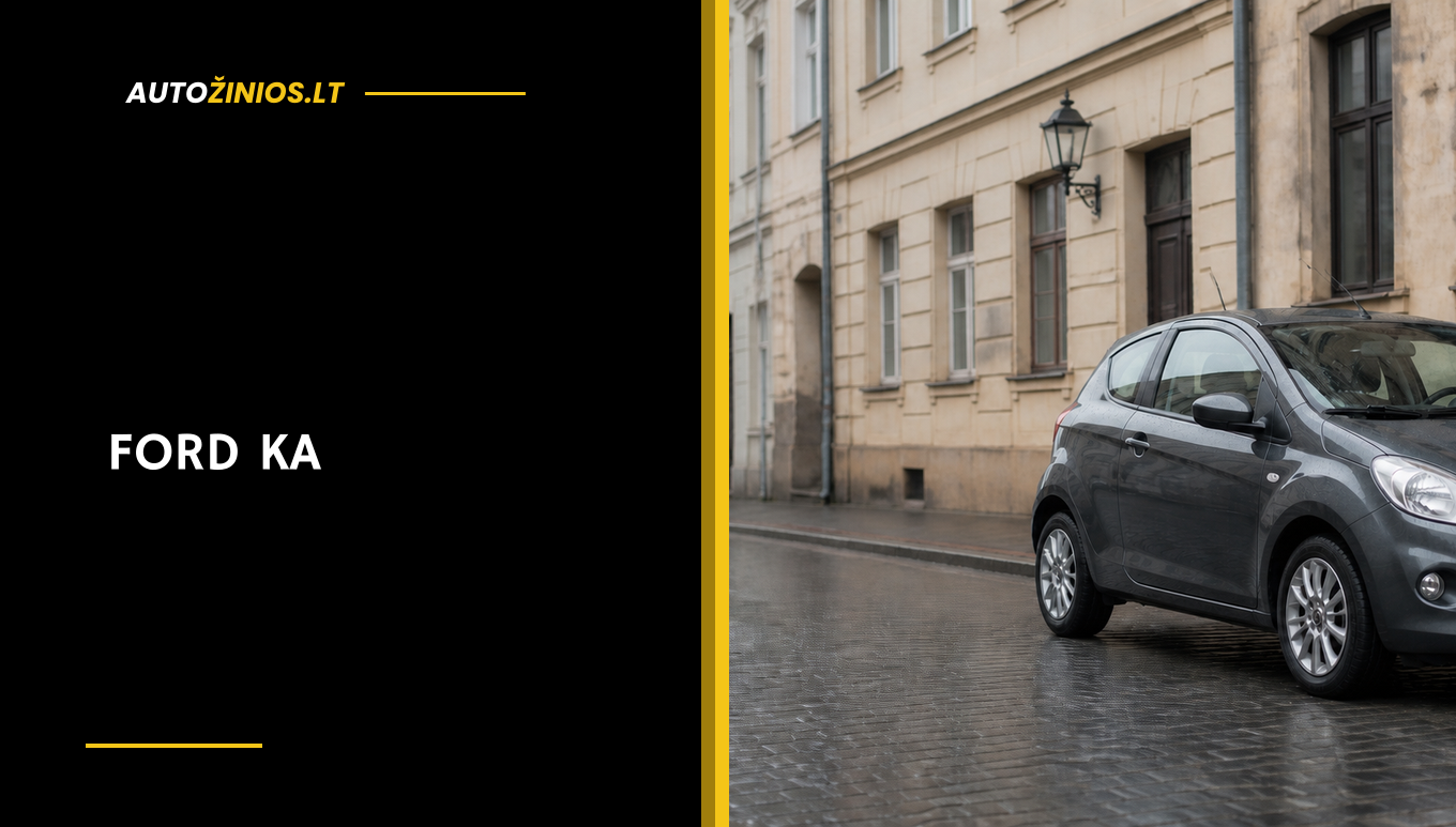 Pilkas 2009–2016 m. Ford Ka miesto gatvėje po lietaus