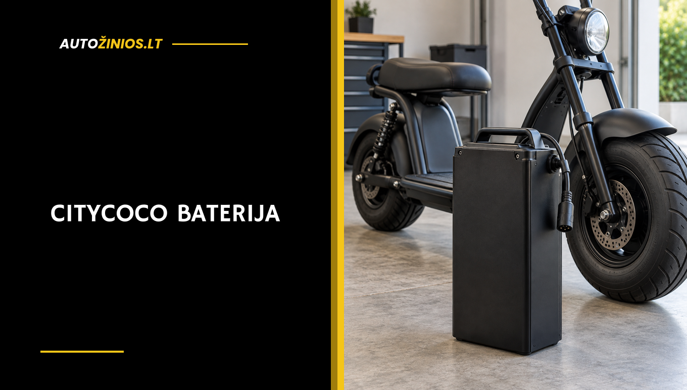 Nuimama Citycoco elektrinio motorolerio baterija šalia plataus rato motorolerio